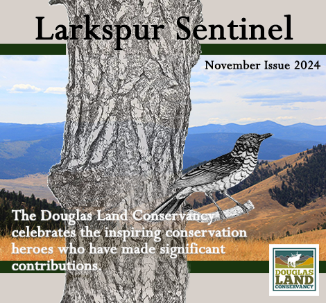 Larkspur Sentinel November issue featuring Douglas Land Conservancy conservation heroes